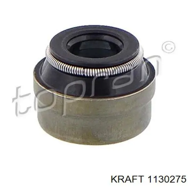 Sello De Aceite De Valvula (Rascador De Aceite) Entrada/Salida Renault Espace 4 JK0