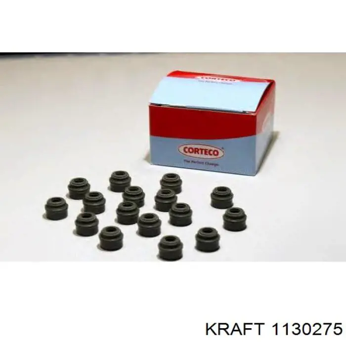 Sello De Aceite De Valvula (Rascador De Aceite) Entrada/Salida Renault Espace 4 JK0