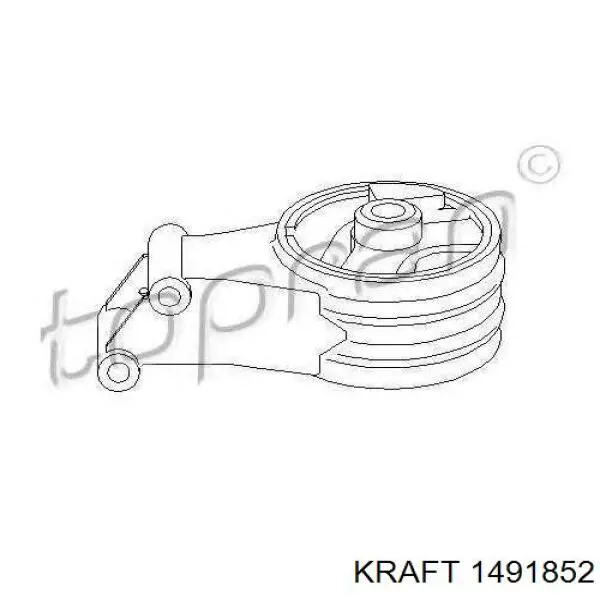 Soporte de motor trasero 368948 Triclo