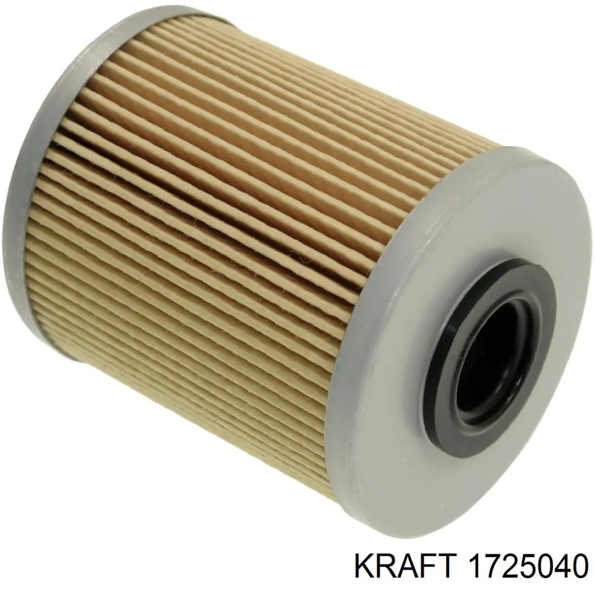 1725040 Kraft filtro combustible