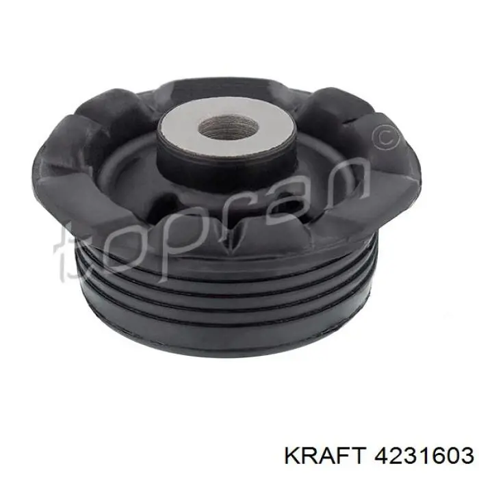 4231603 Kraft suspensión, cuerpo del eje trasero