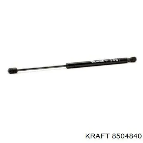 Comprar 2034203 Doga Amortiguador de puerta trasera