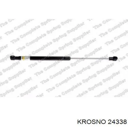 24338 Krosno 