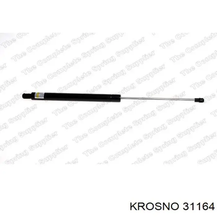 31164 Krosno 