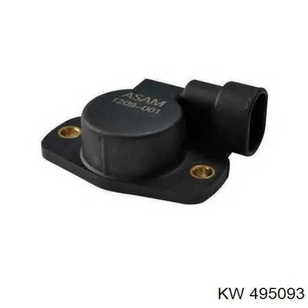 495093 KW sensor tps