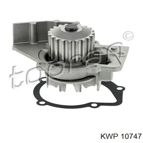 Bomba de agua Peugeot 406 8B