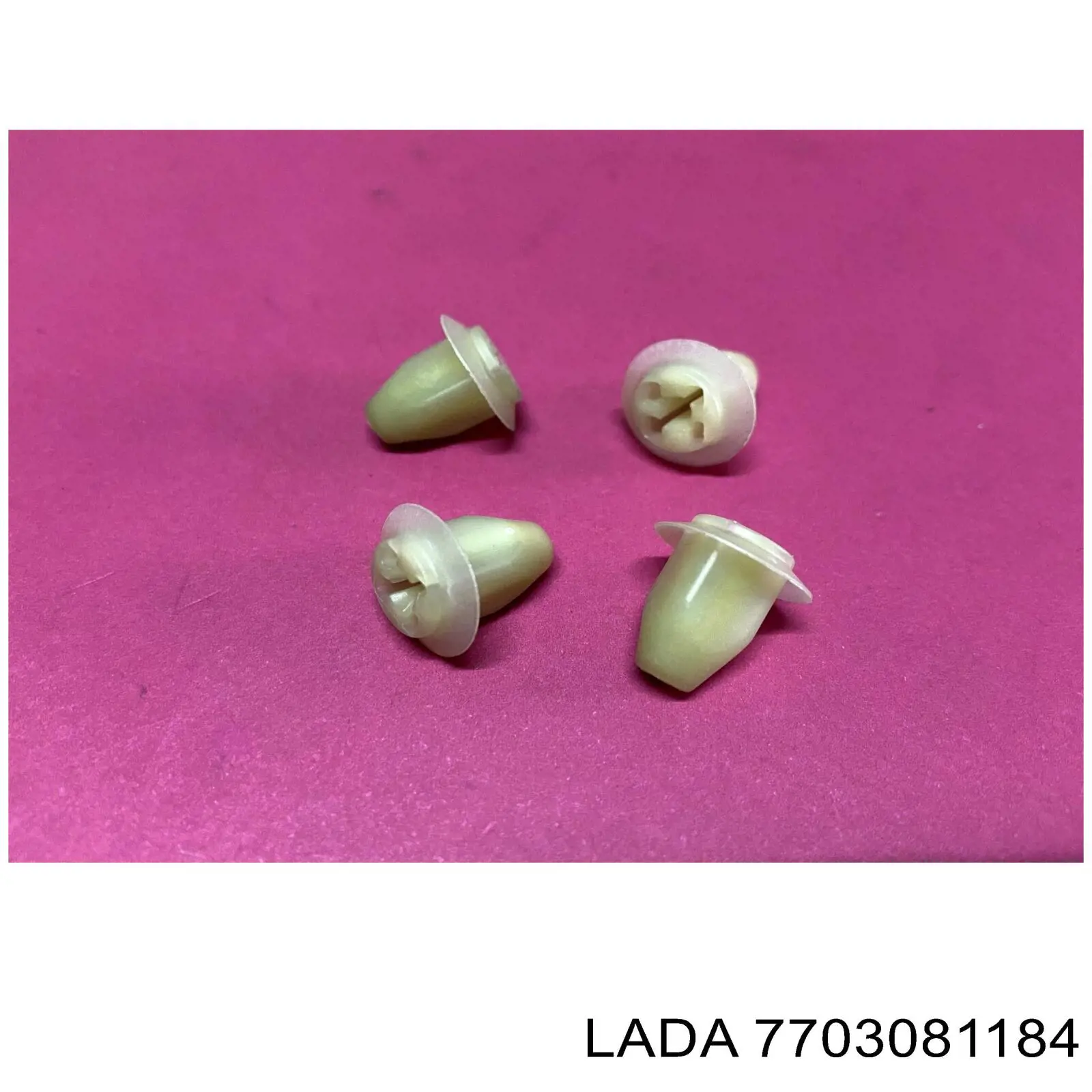 7703081184 Lada clips fijación, revestimiento puerta