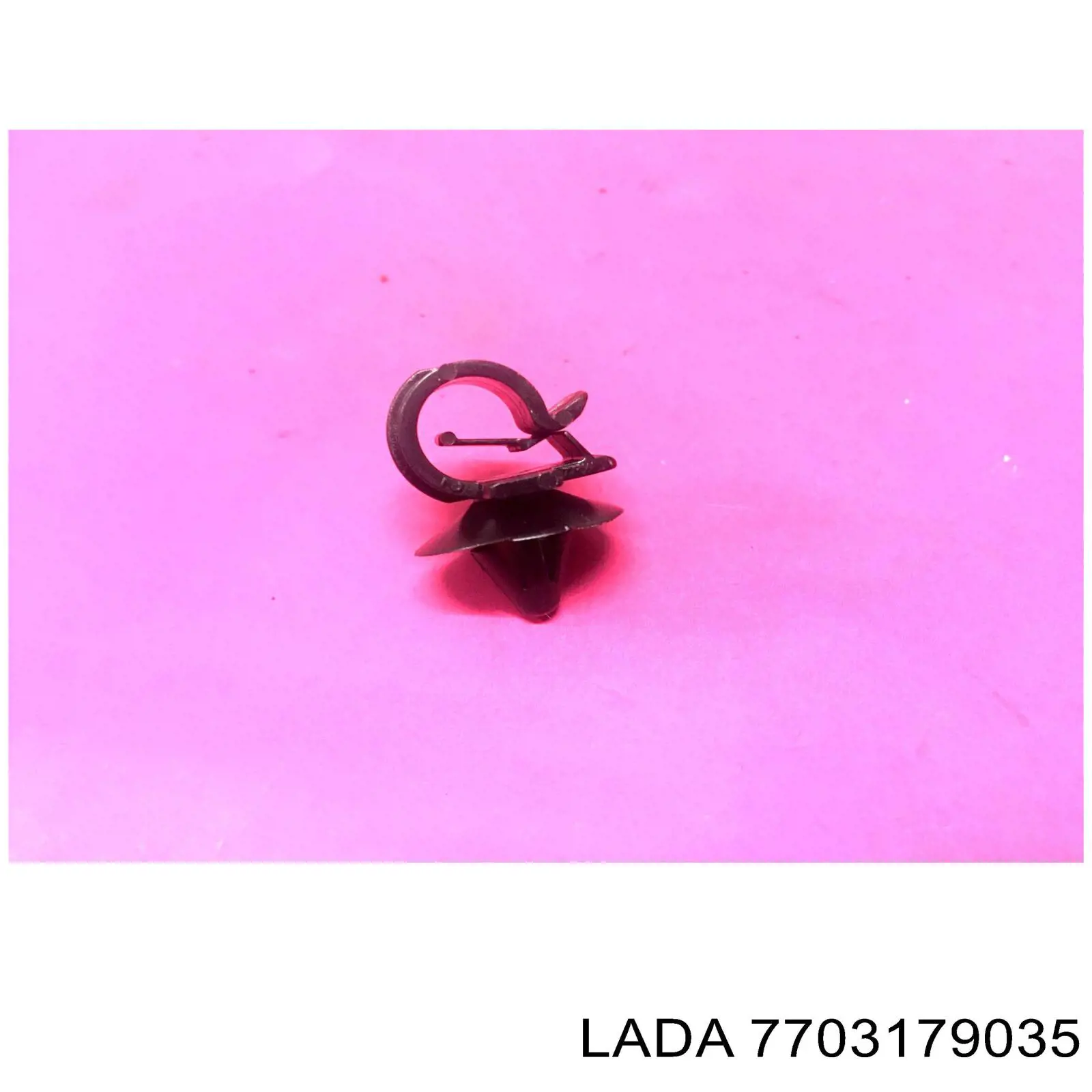 7703179035 Lada