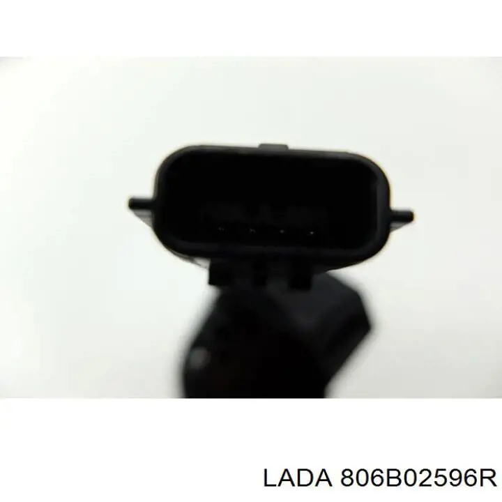 806B02596R Lada tirador de puerta exterior trasero