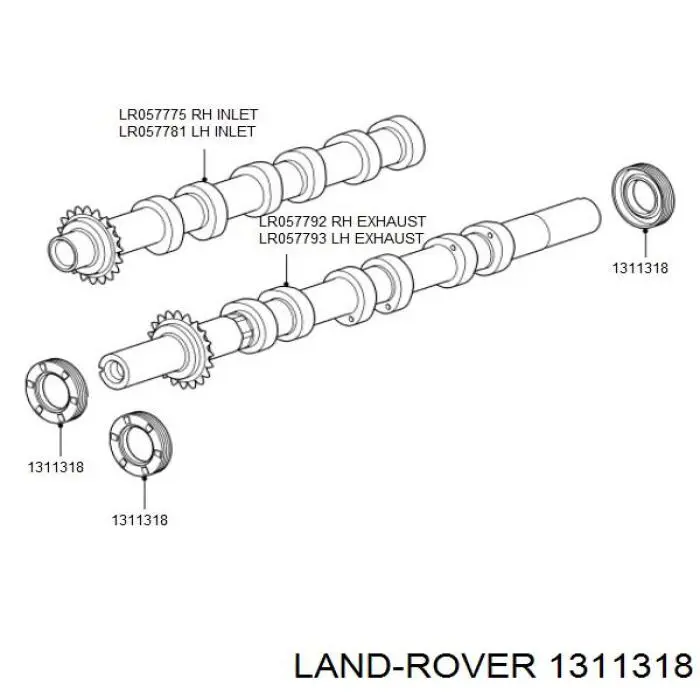 1311318 Land Rover anillo retén, árbol de levas