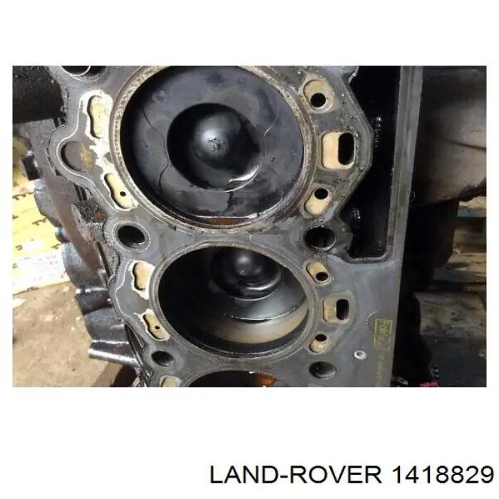 1418829 Land Rover