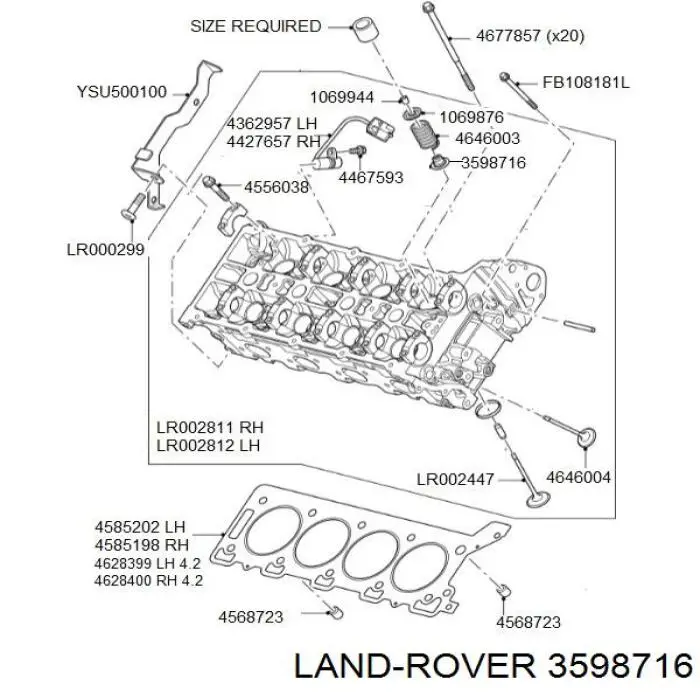 3598716 Land Rover sello de aceite de valvula (rascador de aceite Entrada/Salida)