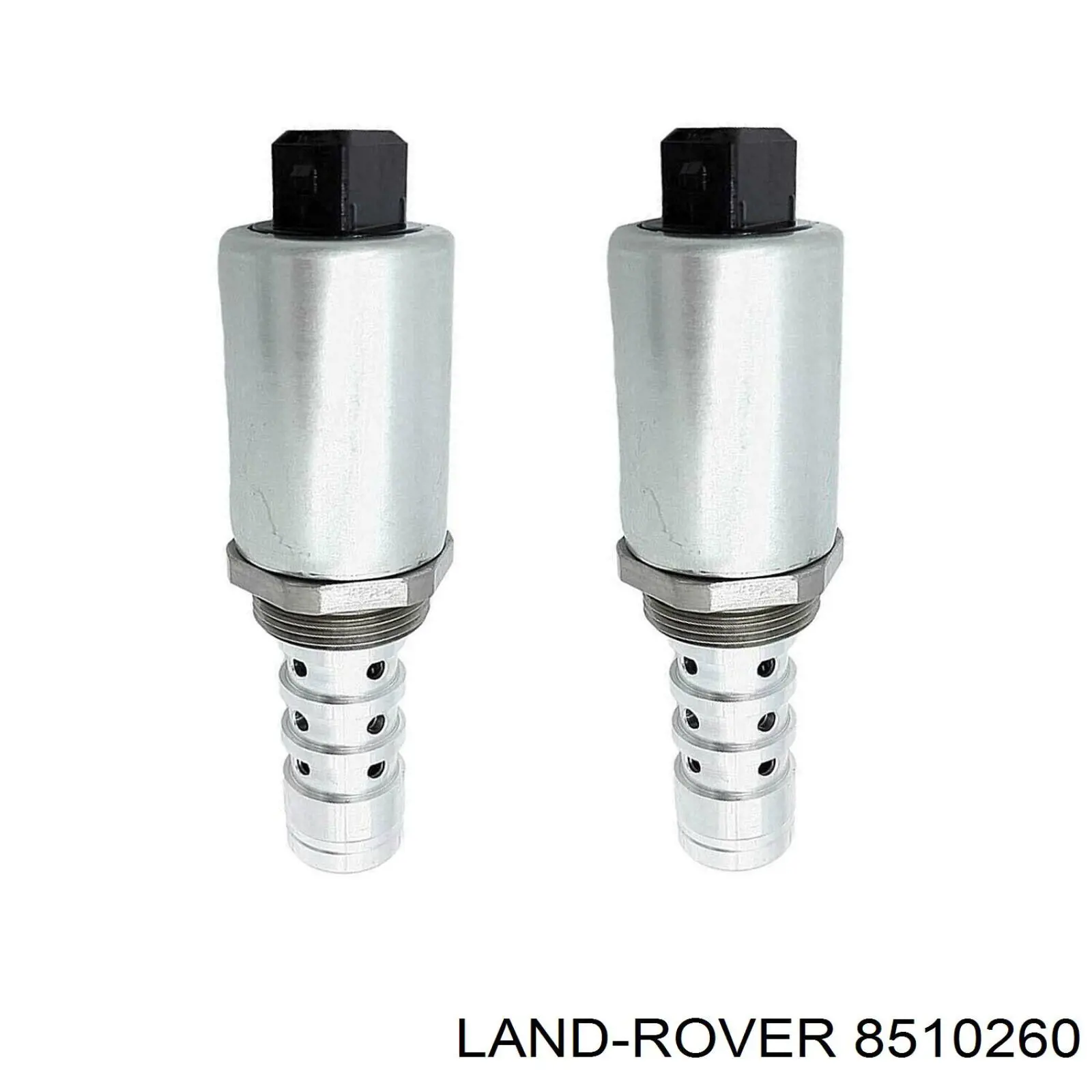 Válvula control, ajuste de levas BMW 5 E39