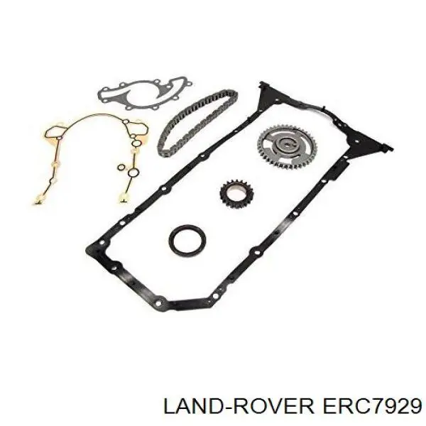 Cadena de distribución para Land Rover Range Rover (LP)