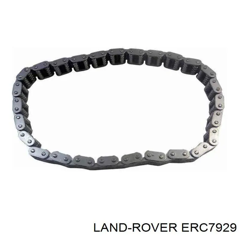 Cadena de distribución Land Rover Range Rover II SUV (LP, P38A) (1994 - 2002) precio, desde 189,71 EUR