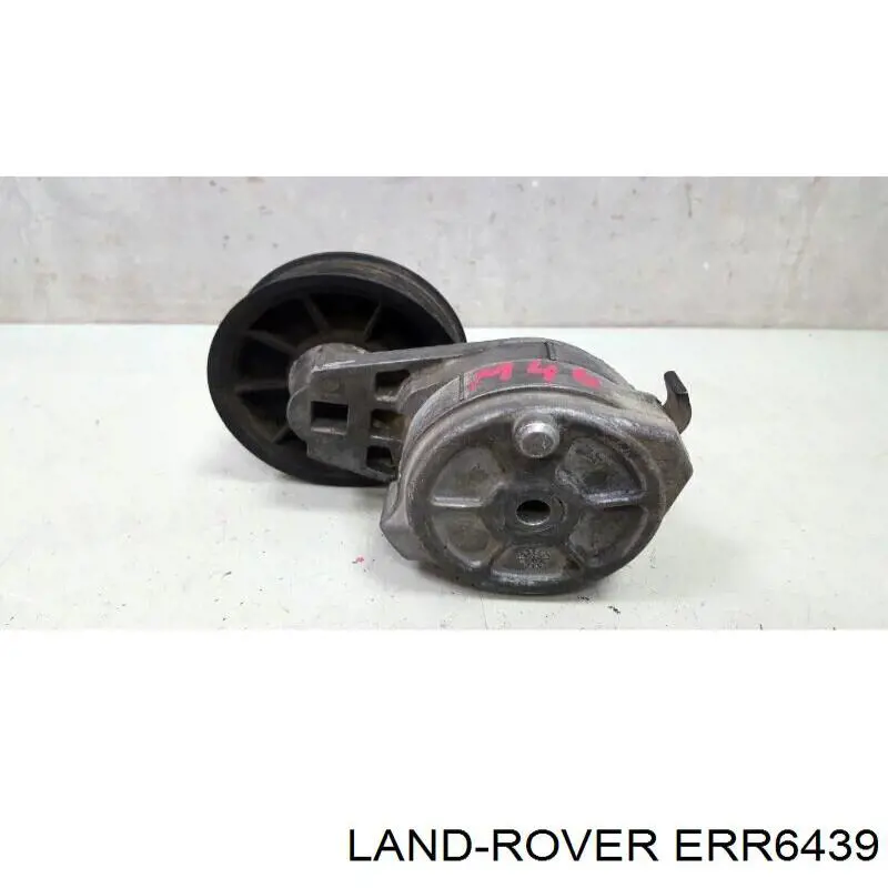 Tensor de la correa trapecial poli v Gates T38245