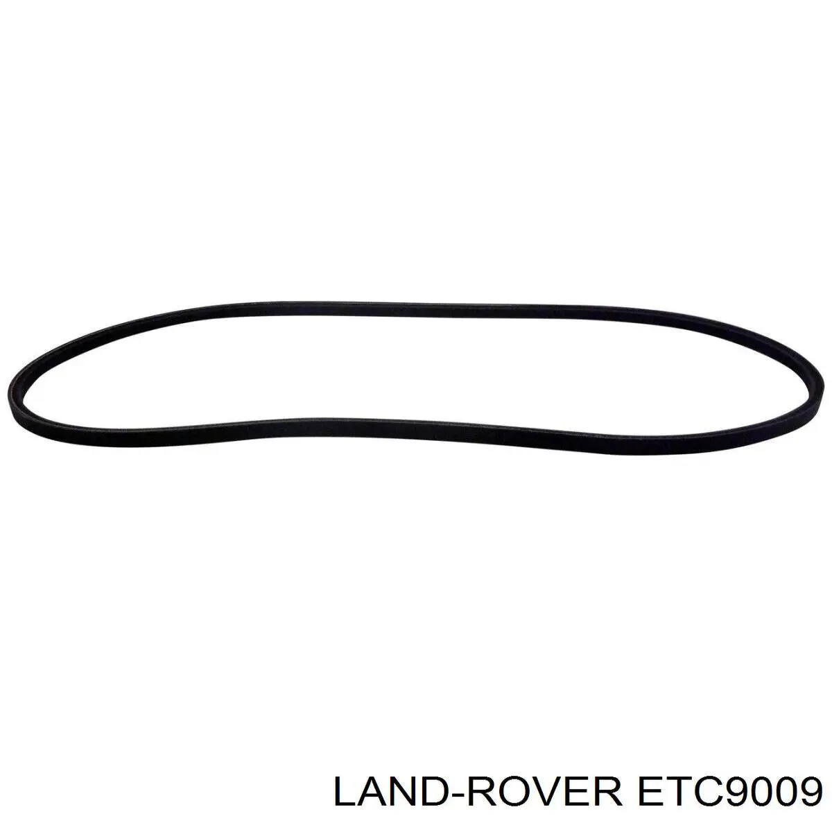ETC9009 Land Rover correa trapezoidal
