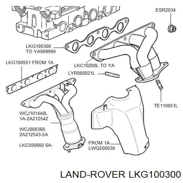 GUG704430MG Land Rover junta de colector de escape