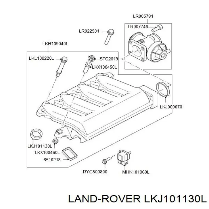 LKJ101130L Land Rover junta de colector de admisión