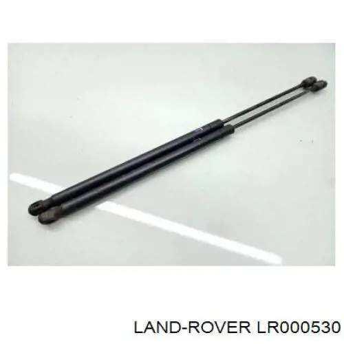  1385556 Ford