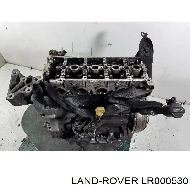 1385556 Ford 
