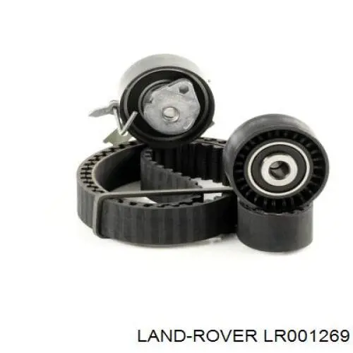 LR001269 Land Rover correa distribucion