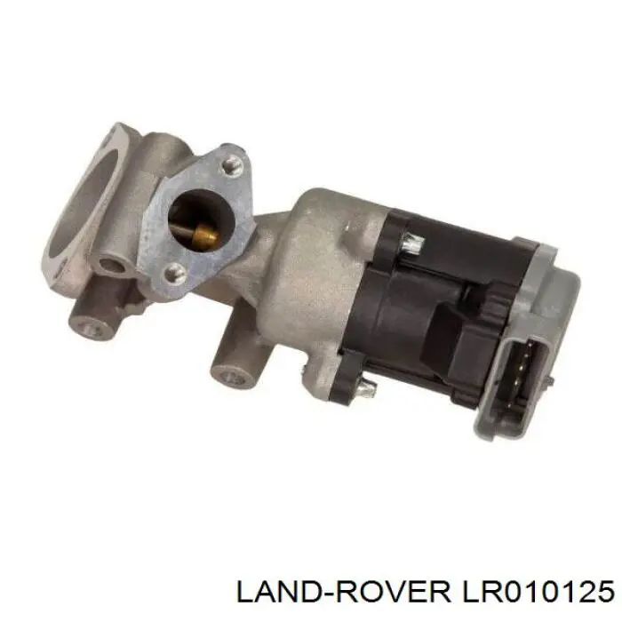 LR010125 Land Rover egr