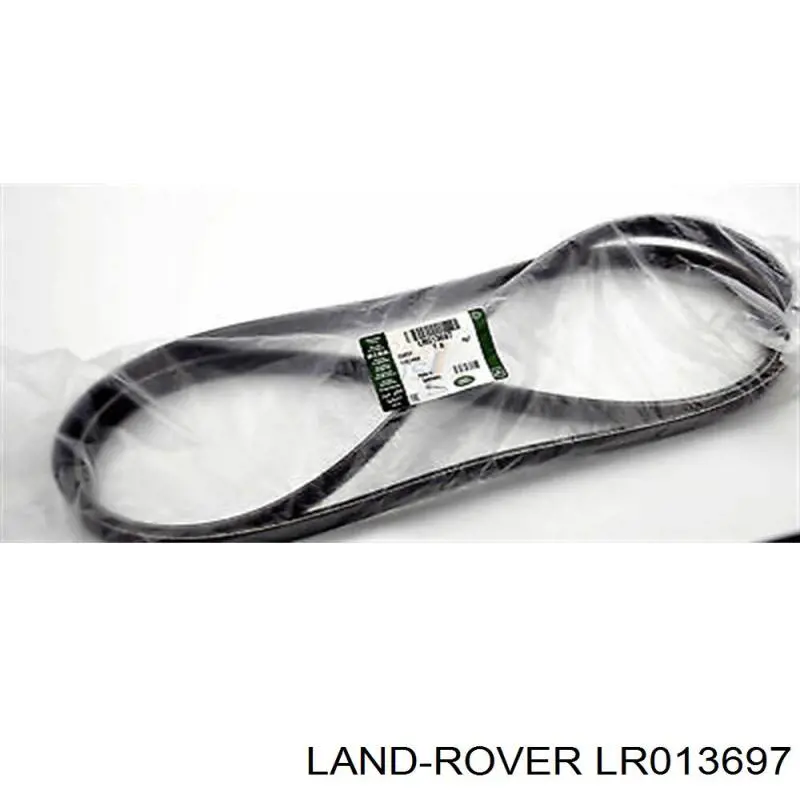 LR013697 Land Rover correa trapezoidal