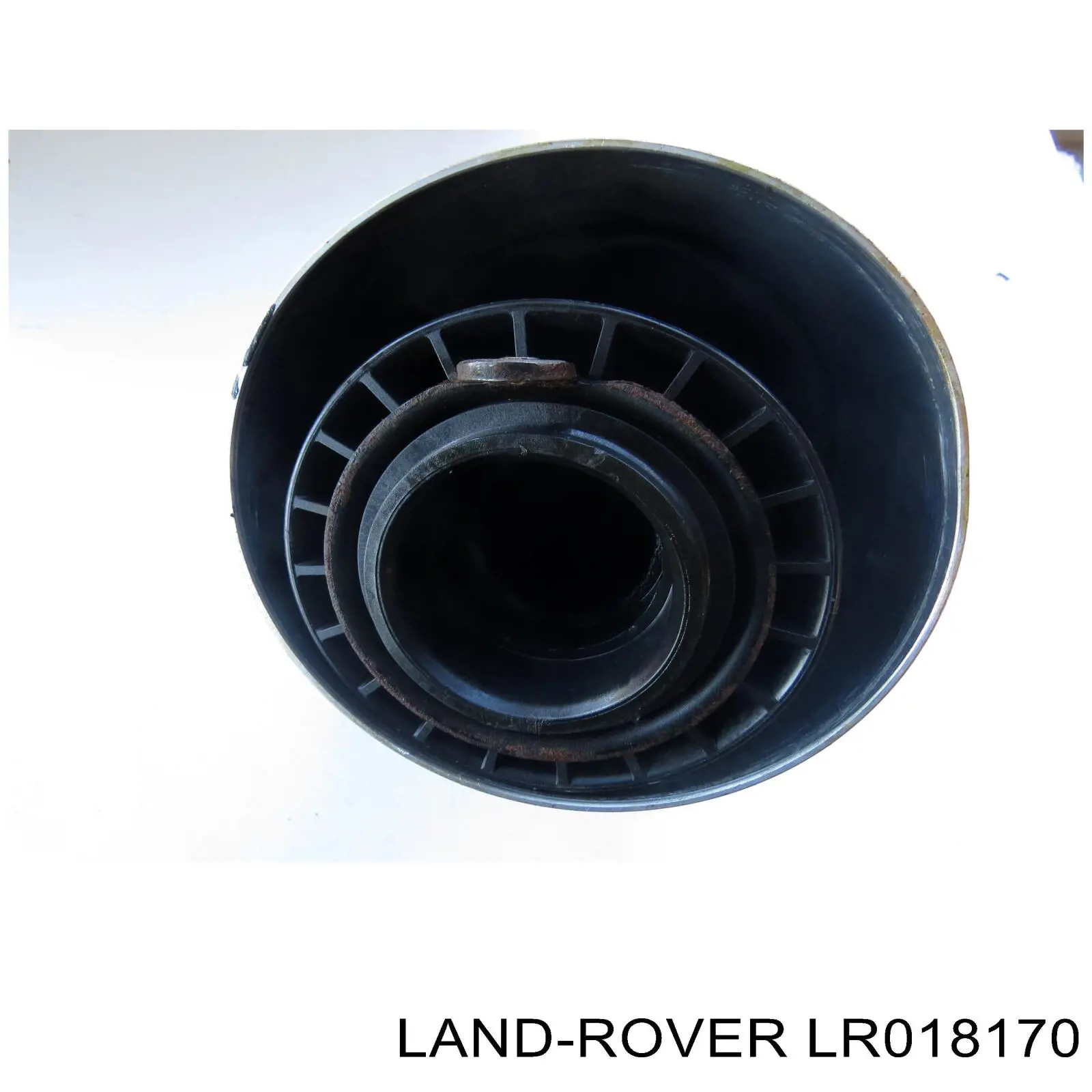 Bolsa de aire del eje trasero Land Rover LR018170 precio, desde 207,92 EUR
