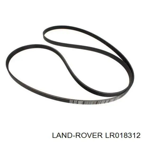 Correa de transmisión trapezoidal Land Rover LR018312 precio, desde 25,52 EUR