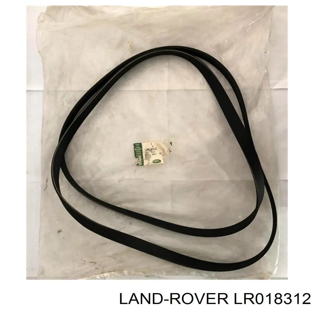 LR018312 Land Rover correa trapezoidal