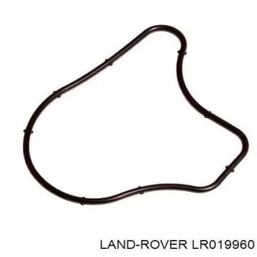 Junta de la bomba de vacío Land Rover LR019960 precio, desde  EUR