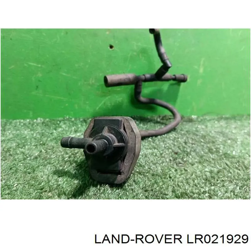 LR021929 Land Rover