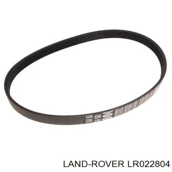 LR022804 Land Rover correa trapezoidal