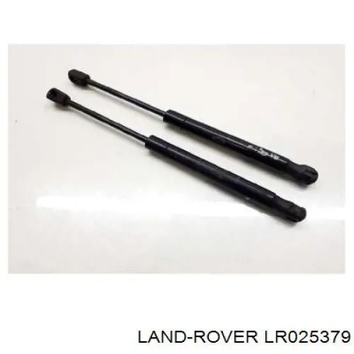LR025379 Land Rover Amortiguador de porton