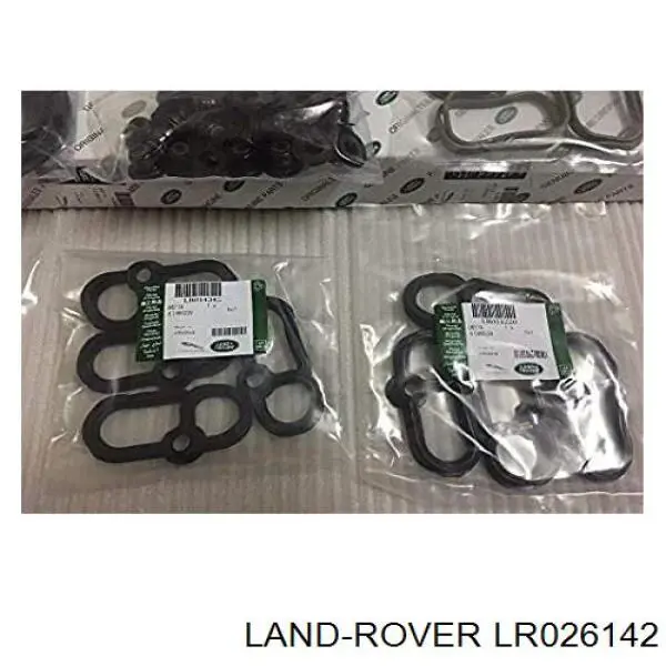 Junta de culata izquierda para Land Rover Range Rover (L320)