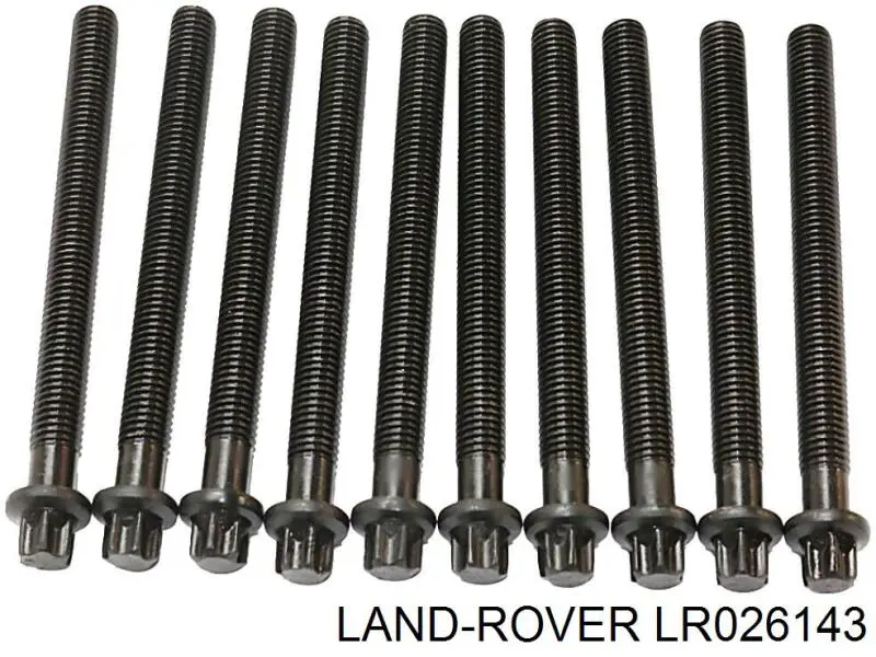 Tornillo culata 258050 AMC