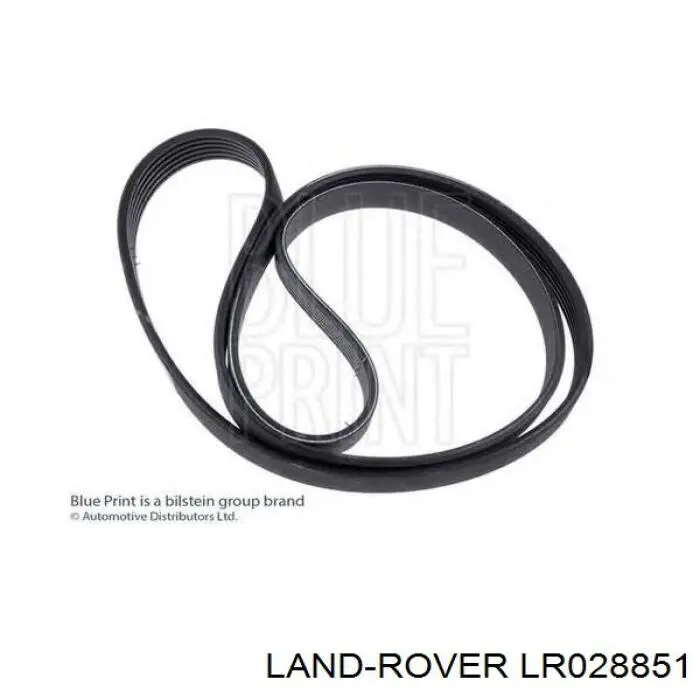 Correa de alternador LR028851 Land Rover