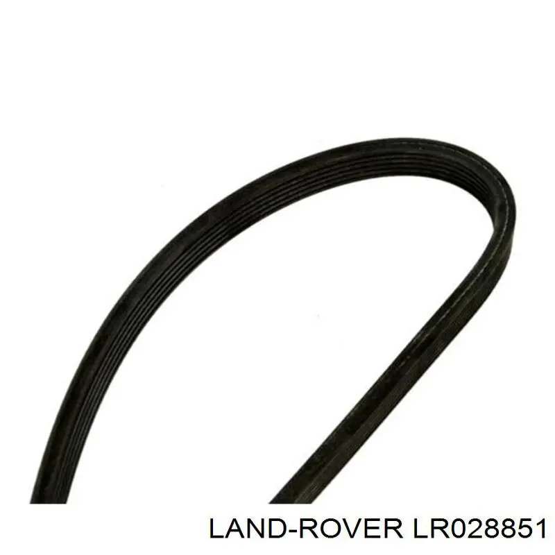 LR028851 Land Rover correa trapezoidal