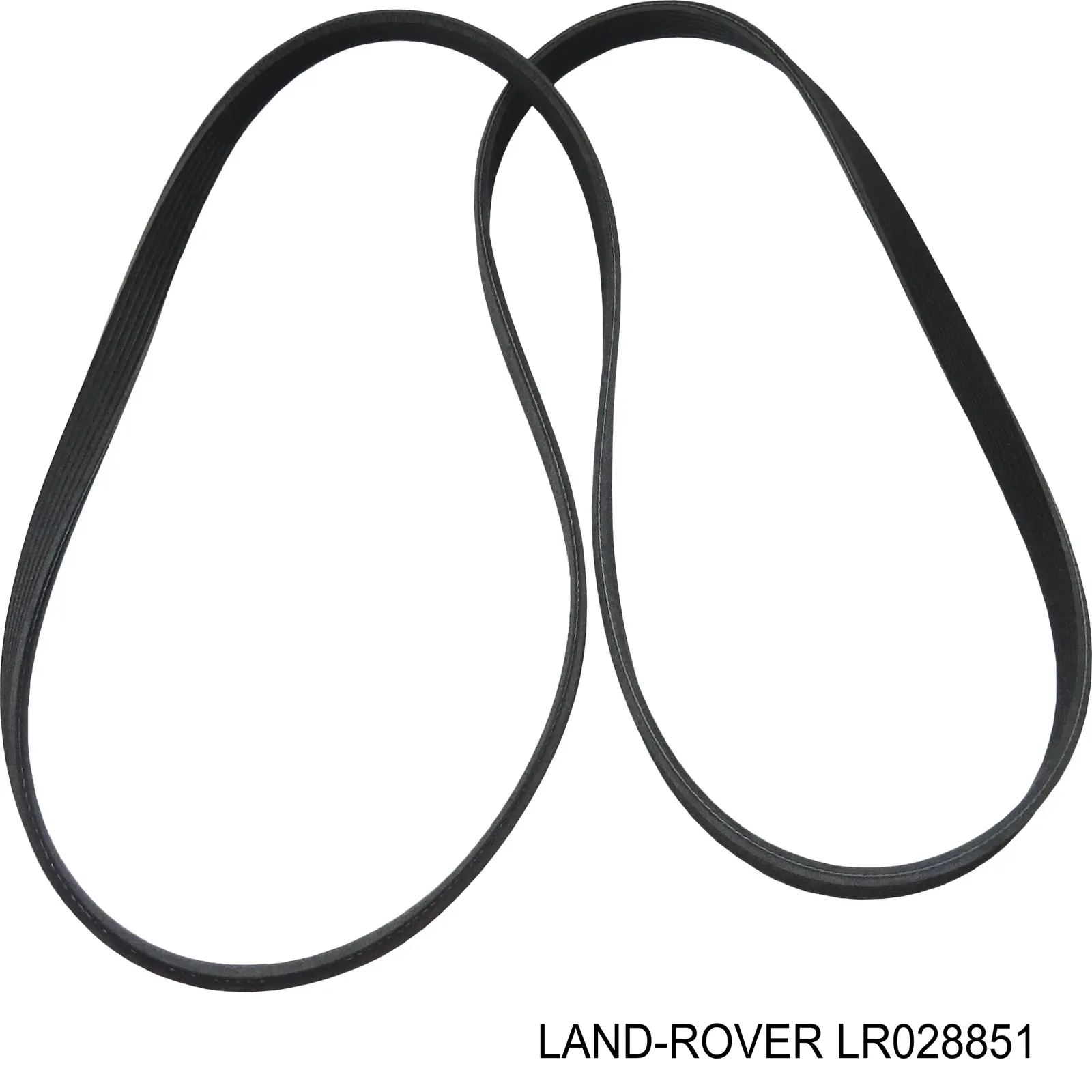 Comprar LR028851 Land Rover Correa trapezoidal