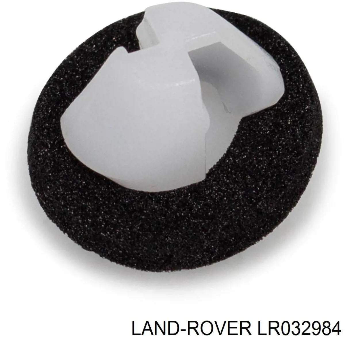 Clip de fijación de moldura de puerta LR032984 General Motors