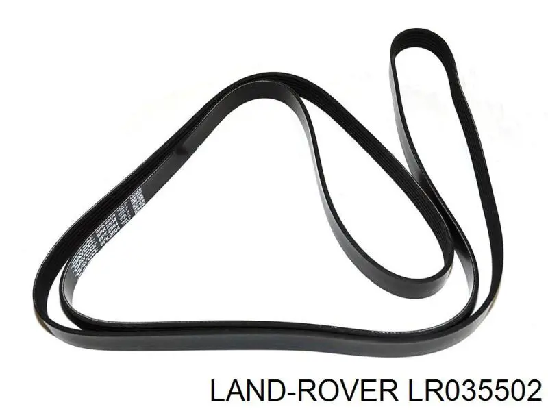 LR035502 Land Rover correa trapezoidal
