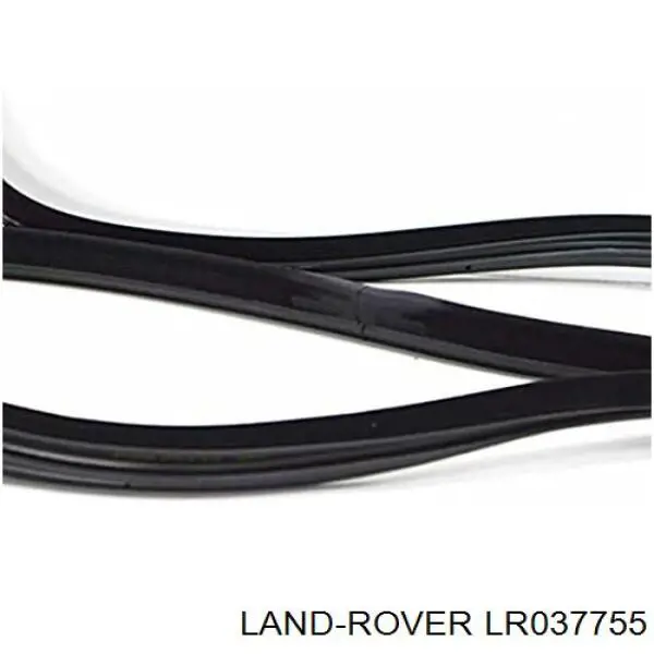 LR031716 Land Rover