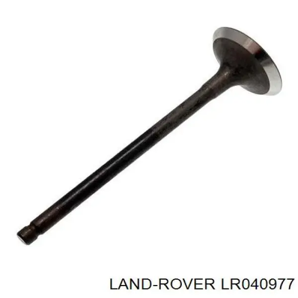 Comprar LR040977 Land Rover Guía del tensor de la cadena de distribución
