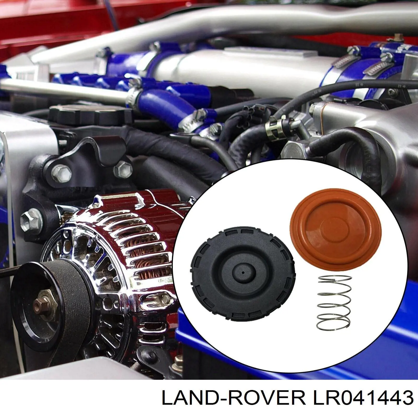 LR041443 Land Rover tapa de valvula derecha