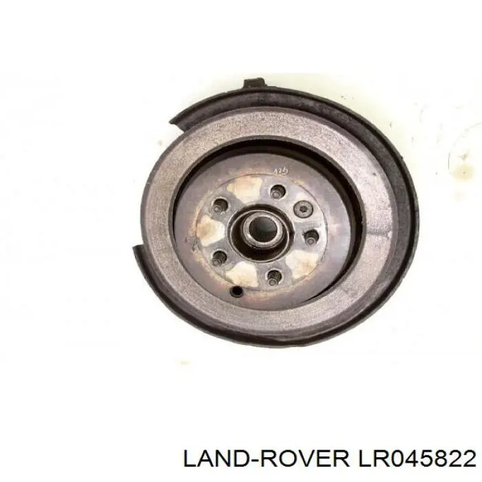 Mangueta trasera derecha Land Rover LR045822 precio, desde 143,75 EUR