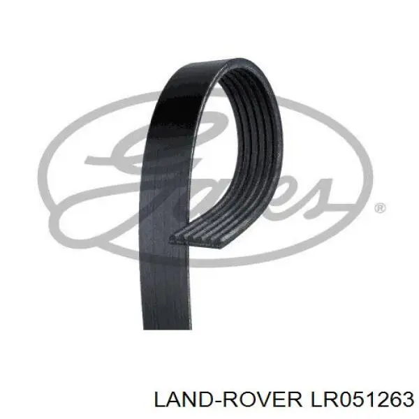 LR051263 Land Rover correa trapezoidal