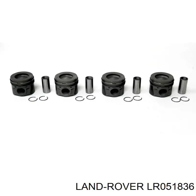 Comprar LR019693 Land Rover Buje de biela