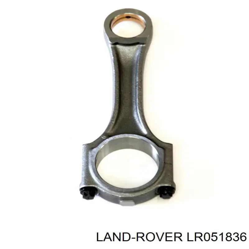 LR019693 Land Rover Buje de biela