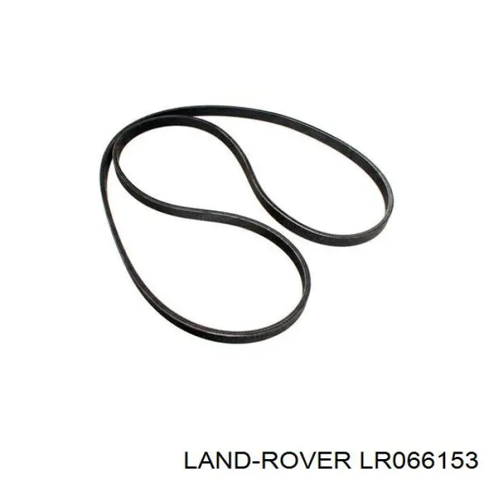LR066153 Land Rover correa trapezoidal